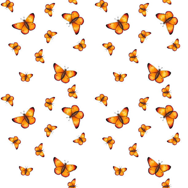 Hand drawn seamless pattern with orange butterflies on white