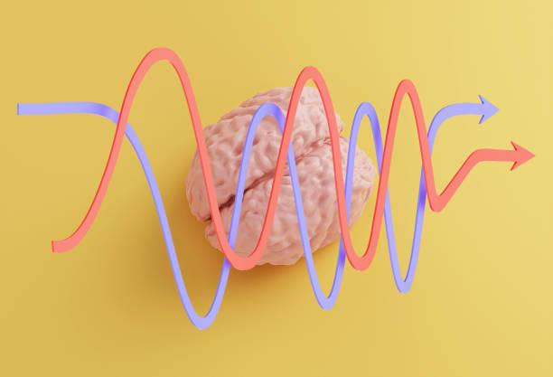 istock human brain model and red blue statistical curved arrows on yellow background, study business concept, 3d illustration 1300695349