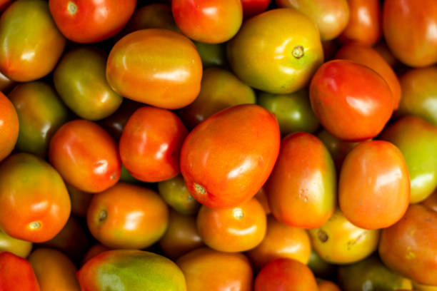 熟したトマト新鮮で癒しの食べ物、緑と赤のトマト - healty ストックフォトと画像