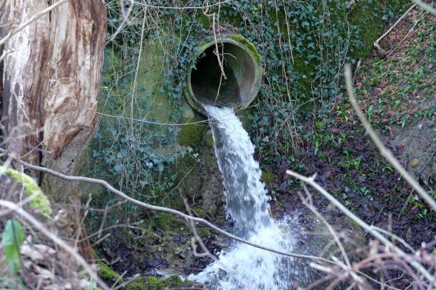 istock Regulated stream or brook coming from underground out of a large pipe in a small waterfall from a vertical wall which is covered with creeping plants in the springtime. There is a lot of copy space. 1300697763