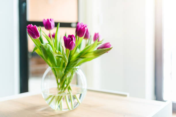 istock Beautiful pink tulips in a vase. 1300699834