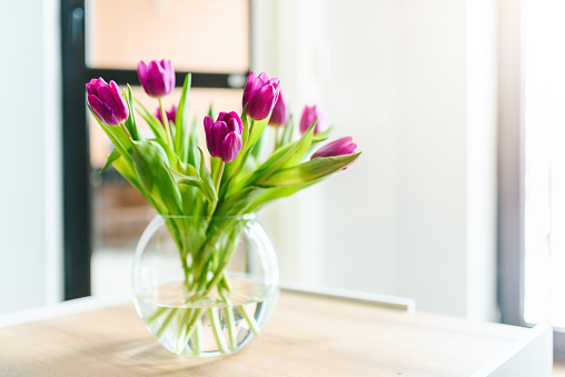 Beautiful pink tulips in a vase.