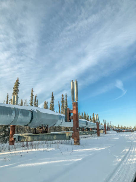 istock Trans-Alaska Pipeline in Winter 1300700900