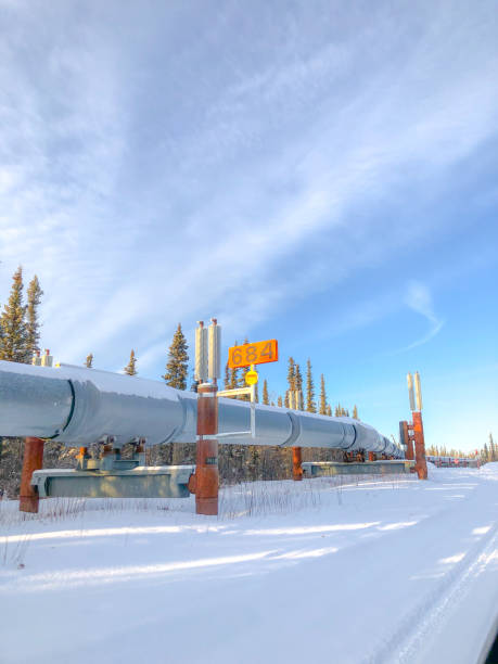 istock Trans-Alaska Pipeline in Winter 1300700903