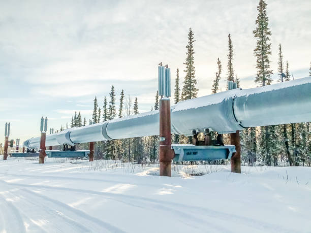 istock Trans-Alaska Pipeline in Winter 1300700905