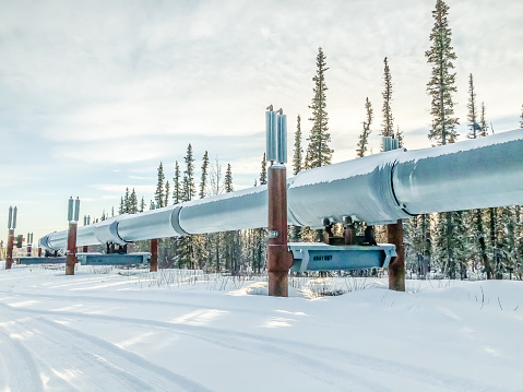 The Trans-Alaskan Pipeline makes its way down the many miles of Alaska. Oil travels from the North Slope of Alaska, down to the Port of Valdez. The pipeline has 11 pump stations, 800 miles of pipeline, and a diameter of approximately 48 inches. The pipeline is cared for by the Alyeska Pipeline Service Company.  Much has been done to ensure the surrounding area is not affected. The end result is a stunning view of Alaska.