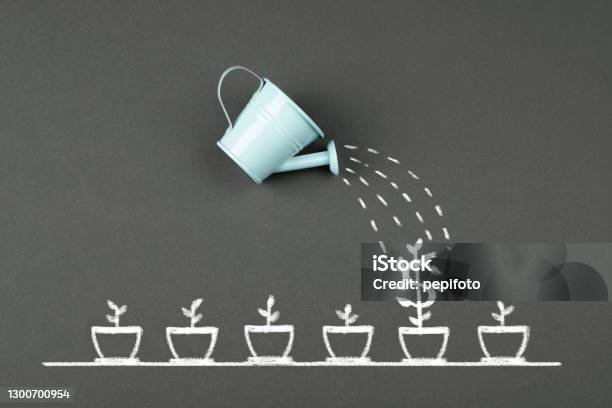 Watering Can And Dollar Flower Stock Photo - Download Image Now - Growth, Currency, Cultivated