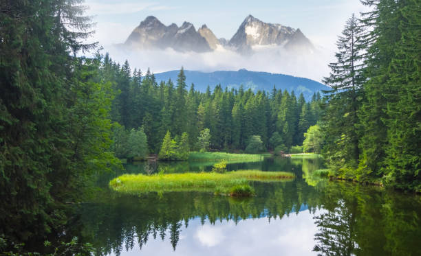 istock small lake in the green mountain valley 1300701309