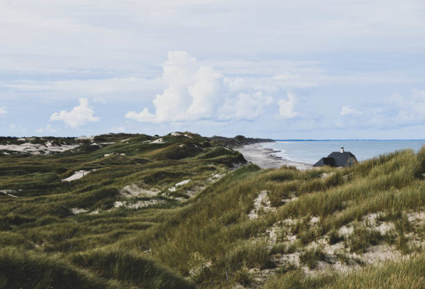 istock Idyll by the North Sea 1300702131