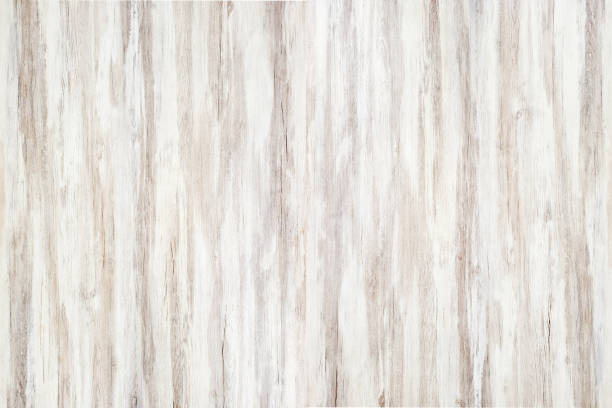 istock white old wood background, abstract wooden texture 1300702165