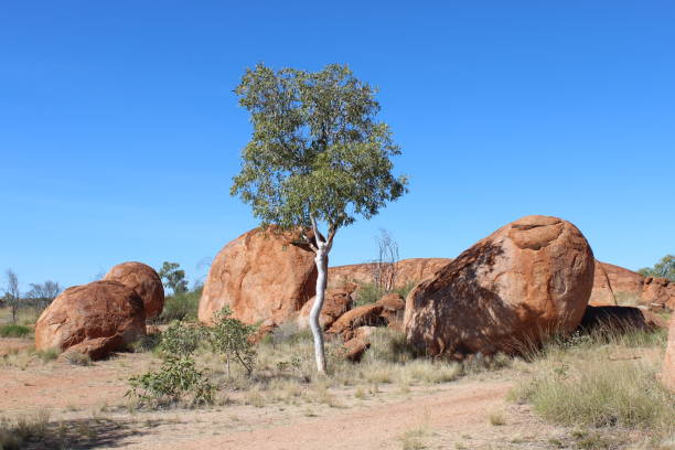 istock Landscape at the Devils Marbles in Australia 1300702430