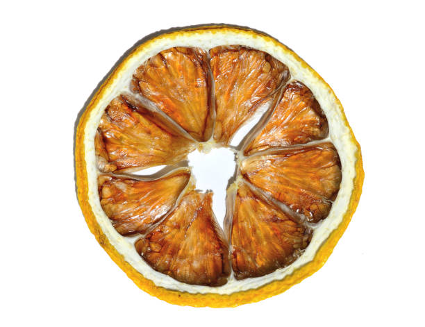 istock a slice of dried lemon lies on a white background. isolate. 1300704465