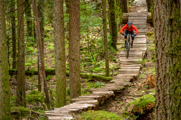 istock Mountain biker rides along forested path in the morning 1300705759