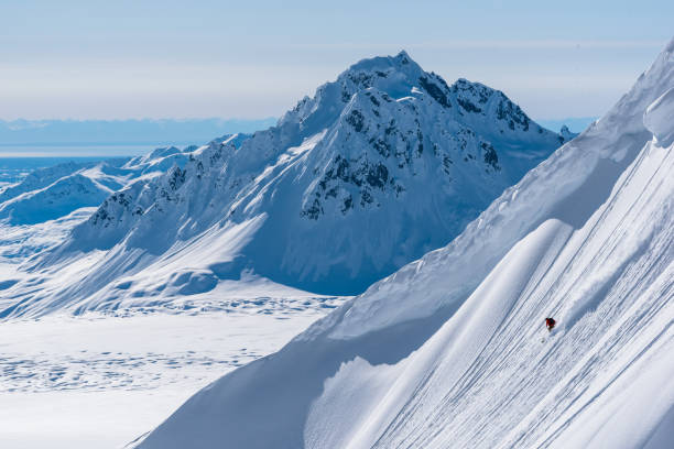 istock Backcountry skier descends snow slope in mountains 1300705854