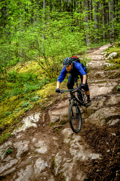 istock Mountain biker rides along forested path in the morning 1300706609