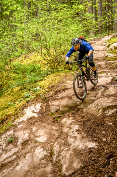 istock Mountain biker rides along forested path in the morning 1300706640