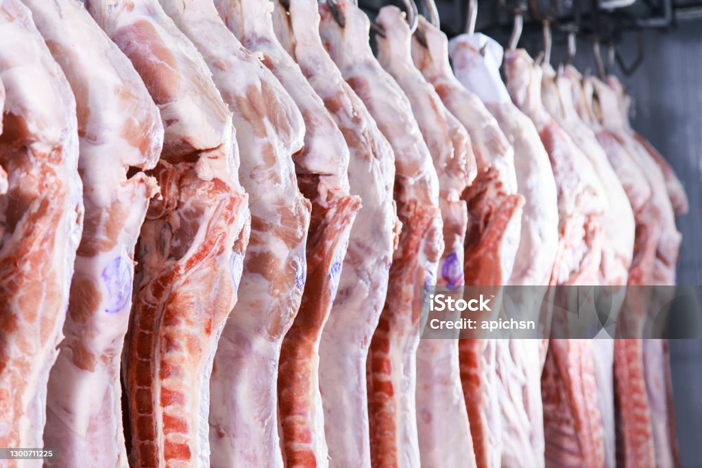 The meat hanging in a refrigerator of meat factory Raw porks meat hanging in a refrigerator of meat factory. Pork Stock Photo