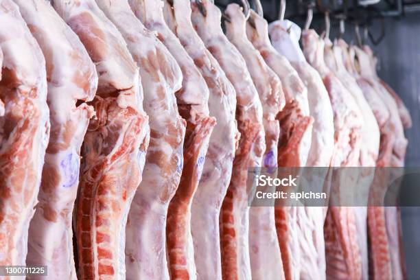 The Meat Hanging In A Refrigerator Of Meat Factory Stock Photo - Download Image Now - Pork, Factory, Hanging
