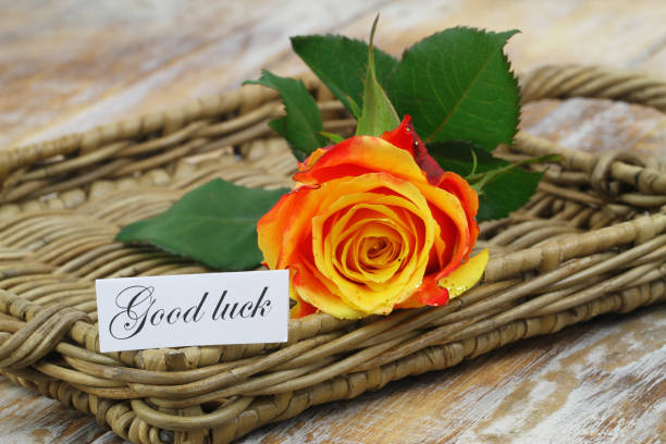 good luck card with one orange rose covered with glitter on wicker surface - note rose image saturated color imagens e fotografias de stock