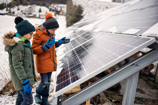 due ragazzini che discutono di pannelli solari in una giornata invernale. - cold discussion outdoors snow foto e immagini stock