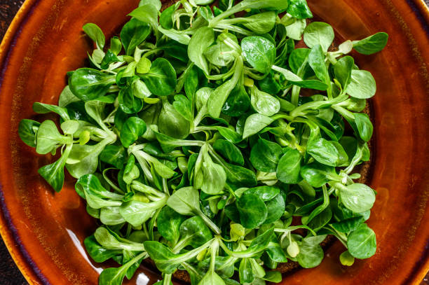 istock Fresh green corn salad leaves on a rustic plate. Dark background. Top view 1300718216