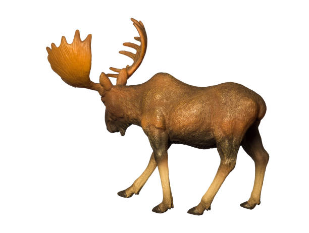 istock Figure of a moose 1300722208