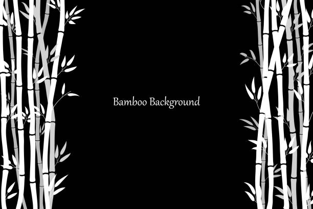 Frame of bamboo sticks and leaves. Background template with bamboo stems. White silhouette on a black background. Vector illustration. Minimalistic style. Frame of bamboo sticks and leaves. Background template with bamboo stems. White silhouette on a black background. Vector illustration. Minimalistic style. bamboo background stock illustrations