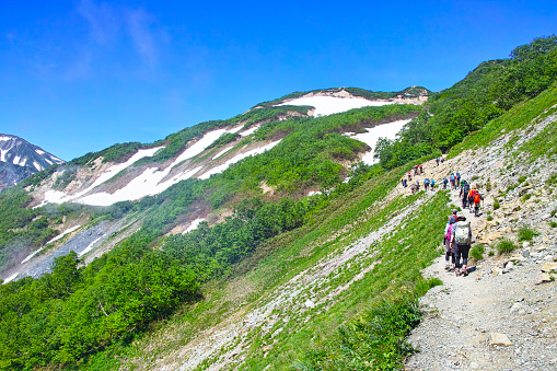 A line of climbers walking along the Happoone mountain trail in early summer.