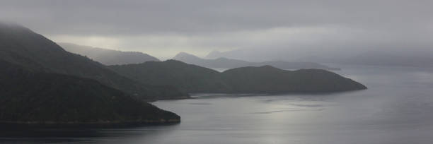 paisaje visto desde la pista queen charlotte, ruta de senderismo en nueva zelanda. - queen charlotte track fotografías e imágenes de stock