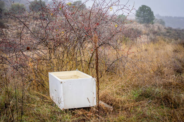istock refrigerators and polluting products dumped in the field 1300733729