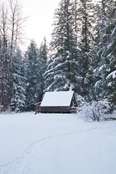 istock Rustic cabin with forest in winter with snow. 1300738376