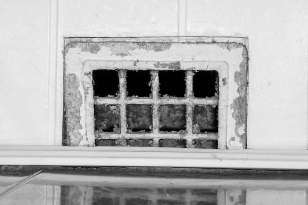 Dirty air vent grille in the bathroom ceiling close up