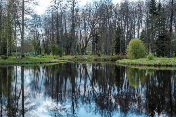 istock blue sky reflections in clear water pond with spring trees and mirror water 1300746206