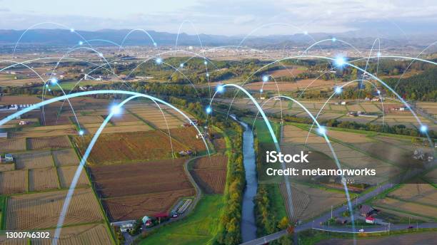 Agriculture And Technology Agritech Environment Communication Network Stock Photo - Download Image Now