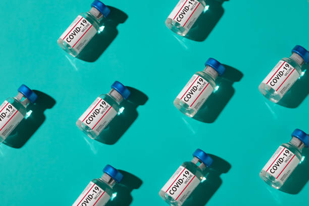 Model-based evaluation of COVID-19 vaccination policy in Québec