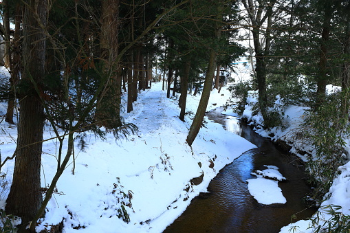 Winter mountain stream