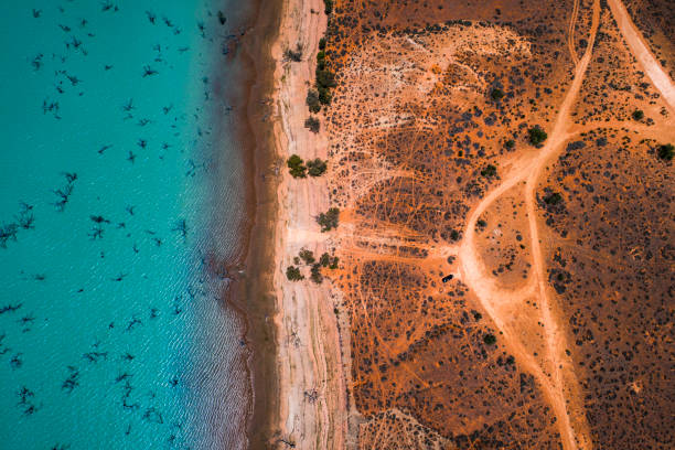 オーストラリアのアウトバックで乾燥した砂漠の乾燥した風景と青い湖の空中写真 - オーストラリア 写真 ストックフォトと画像