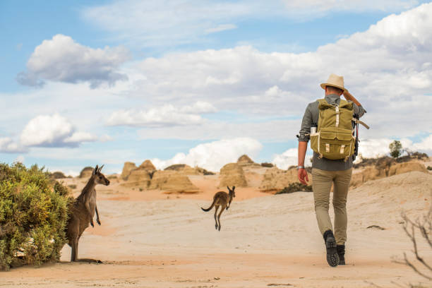 Young man walking in arid desert landscape with photography backpack on an adventure in outback Australia Young man walking in arid desert landscape with photography backpack with kangaroos on an adventure in outback Australia outback stock pictures, royalty-free photos & images