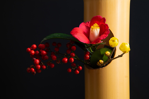 On New Year's Day, we decorate camellia, pine, southern sky, and plum blossoms.
