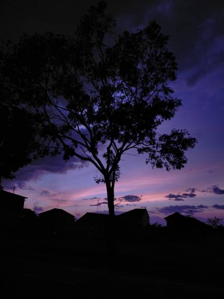 Village in the morning