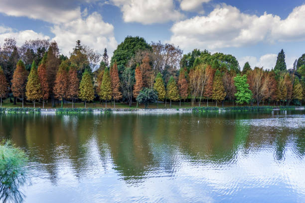 istock Yunnan Kunming Park lake scenery under the blue sky 1300762301
