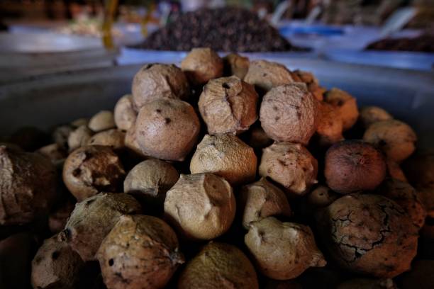Aceh spices are rich in benefits