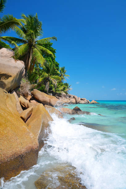istock Anse Patates beach, La Digue Island, Seychelles. 1300775158