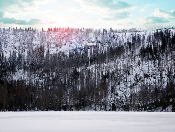 Winter landscape in the Bohemian Forest. Black lake (Cerne jezero), National park Sumava, Czech Republic.