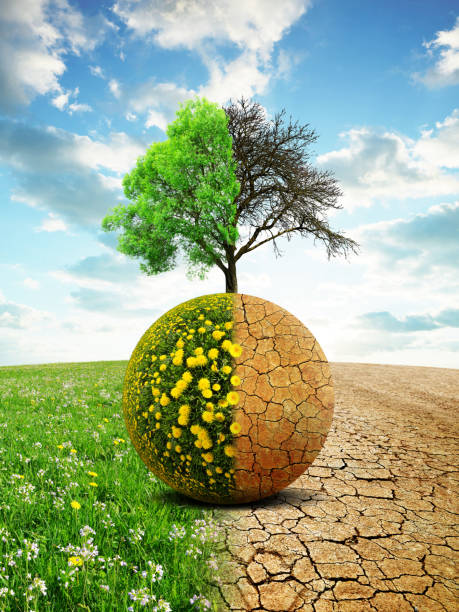 istock Lush and dry planet with tree. Concept of change climate. 1300775327