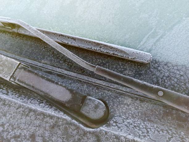 istock Morning frost on a windshield wipers 1300775995