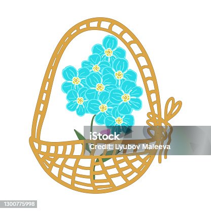 istock Cute vector set of compositions of flowers and forget me not buds: an inflorescence of forget-me-not buds, a small bouquet, cartoon basket with flowers. Stock illustration 1300775998