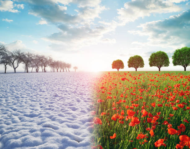 Winter and spring landscape. Concept of change season.