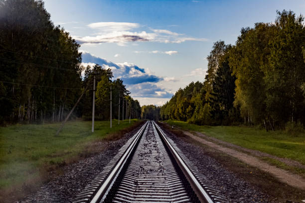 istock Railroad tracks go into the distance in the forest 1300778019
