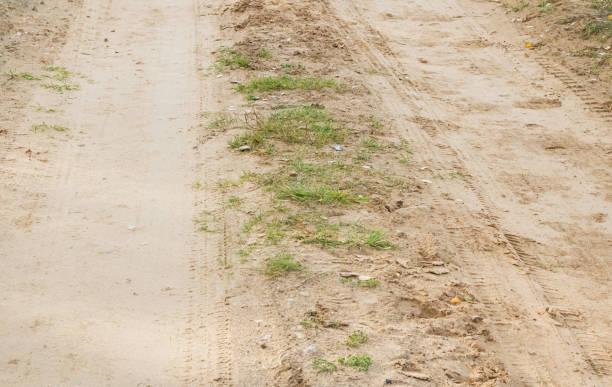 istock Sandy road in the countryside close up 1300778044